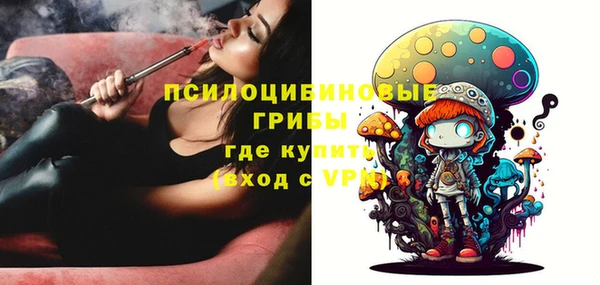 мдма Богданович